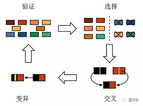 最佳世界杯下注策略与免费服务解析 最佳世界杯下注策略与免费服务解析